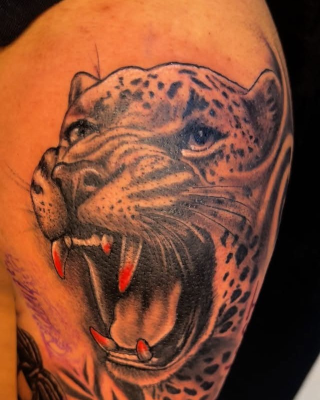 Colour realism leopard head with an open mouth, tattooed on a leg